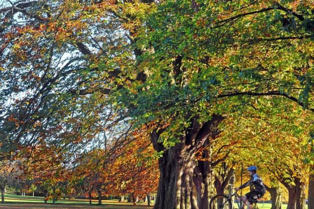 Cycling on the Stray in Harrogate. Picture: Tony Johnson.