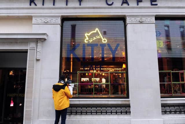 Kitty Cafe occupies a former bank unit