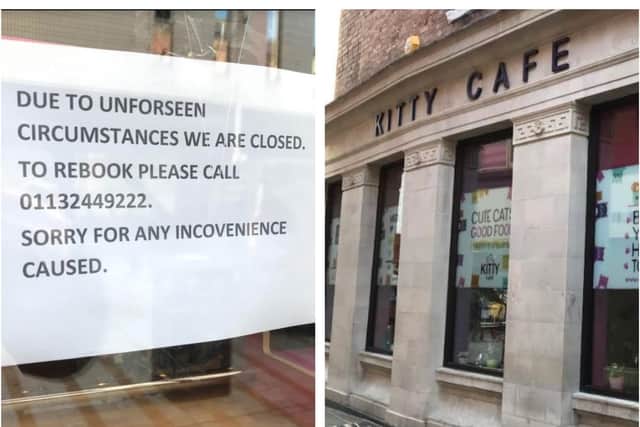 The Kitty Cafe is closed following a break in. PIC: Rebecca Marano
