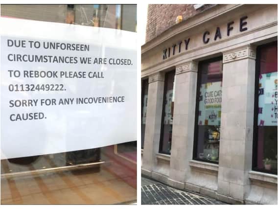 The Kitty Cafe is closed following a break in. PIC: Rebecca Marano