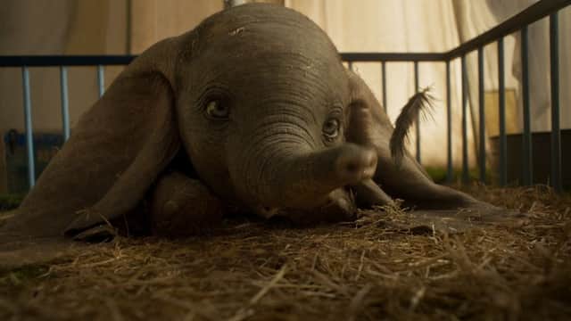 EARS TO YOU  In Disneys all-new, live-action feature film Dumbo, a newborn elephant with oversized ears make him a laughingstock in an already struggling circus. But Dumbo takes everyone by surprise when they discover he can fly. Directed by Tim Burton, Dumbo flies into theaters on March 29, 2019. ©2018 Disney Enterprises, Inc. All Rights Reserved.