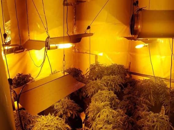 A cannabis farm has been found in Bramley, Leeds. Photo credit: West Yorkshire Police
