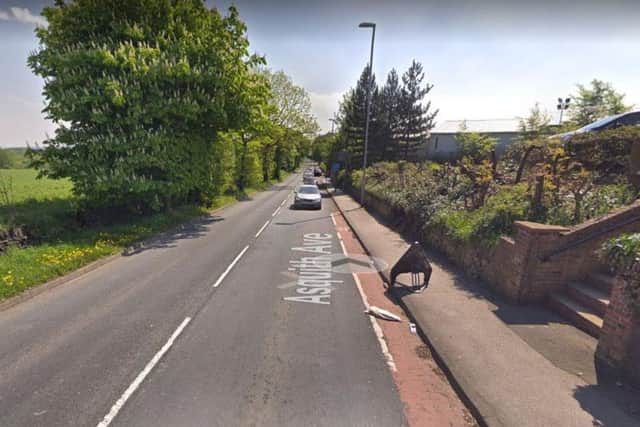 Asquith Avenue, Morley