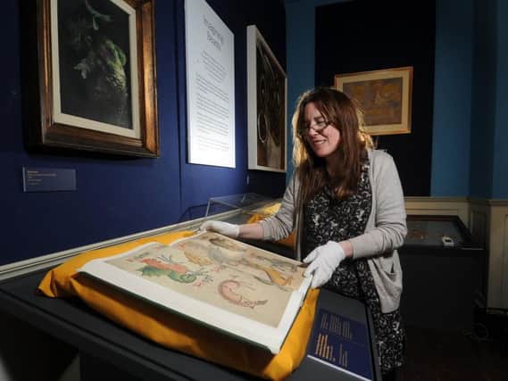 Leila Prescot, curator at Temple Newsam House, adds the final items to the upcoming Fantastical Beasts exhibition in Leeds. Picture: Tony Johnson.