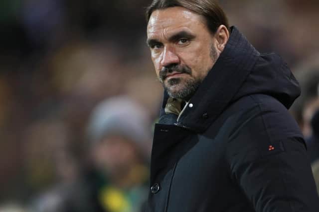 Norwich City head coach Daniel Farke.
