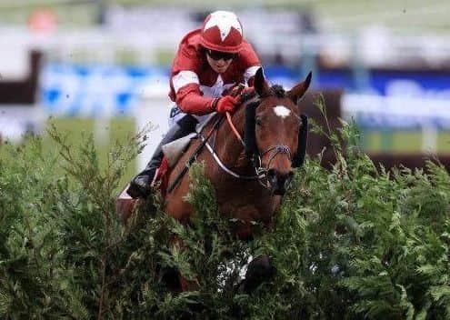 Reigning Grand National champion, Tiger Roll.