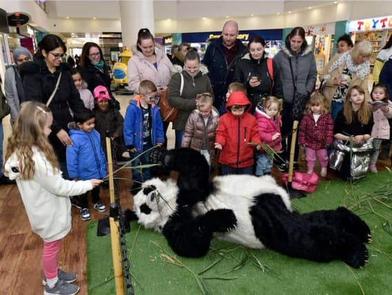 Panda-monium at St Johns shopping centre in Leeds. Picture: Steve Riding.