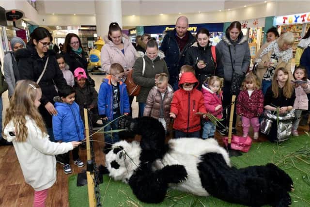 Panda-monium at St Johns shopping centre in Leeds. Picture: Steve Riding.