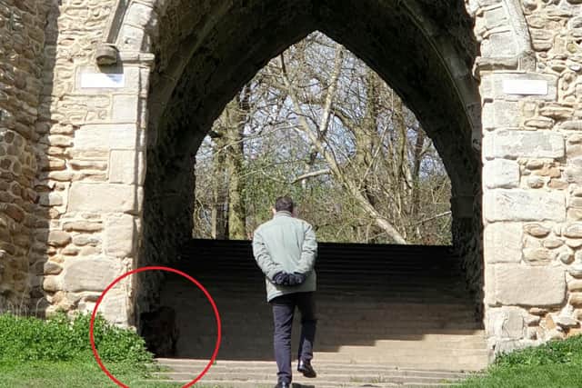 Stephanie Smith captured what she thinks is a demonic ghost dog at the folly at Roundhay Park. Picture: SWNS/Ross Parry