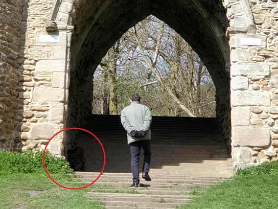 Stephanie Smith captured what she thinks is a demonic ghost dog at the folly at Roundhay Park. Picture: SWNS/Ross Parry