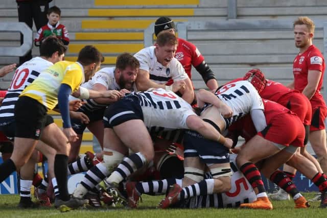 Yorkshire Carnegie in action against Jersey Reds in February (Picture: Varleys)
