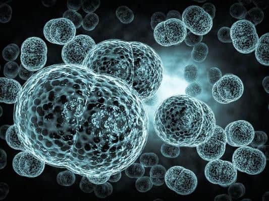 Meningitis is a serious infection of the membranes that surround the brain and spinal cord.