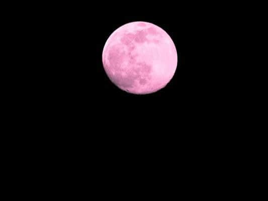 This week will see a so-called Pink Moon rising over the skies of the UK.