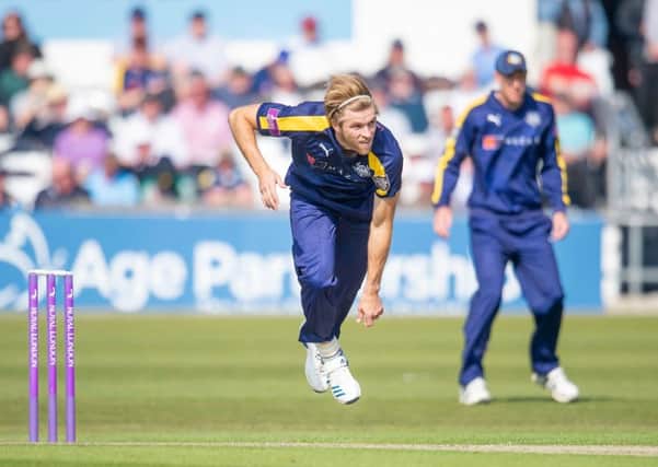 Ready to shine: Yorkshire's David Willey.