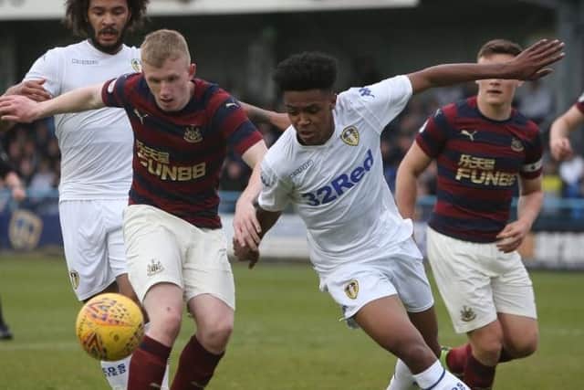 Leeds United fell to defeat against Newcastle United in the Premier League Cup semi-finals.