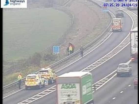 Horse rescued from the M1 southbound near junction 40