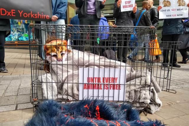 Emma, an activist in her twenties, sat in a cage outside Harvey Nichols.