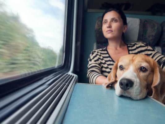 We should all be aware of public transport etiquette - but do the rules change when you take your pet along?