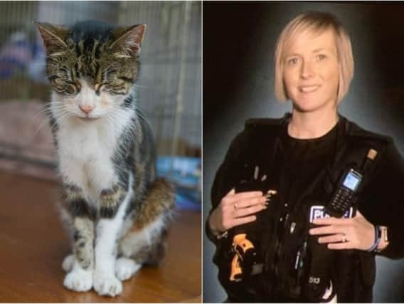 PC Claire Gray saved a cat injured in the road. Left: file photo, right: PC Claire Gray