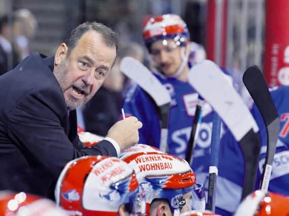 IN THE KNOW: Paul Thompson, seen on the Wild Wings bench during the 2018-19 season. Picture courtesy of Schwenninger Wild Wings.