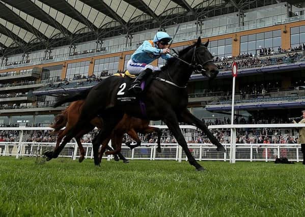 Ventura Rebel, ridden by jockey Paul Hanagan winning the Irish Thoroughbred Marketing Royal Ascot Two-Year-Old Trial Conditions Stakes during the Royal Ascot Trials Day earlier this month. PIC: Steven Paston/PA Wire