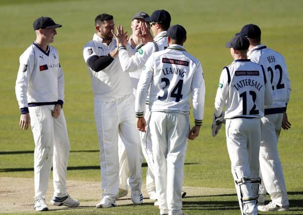 Yorkshire's Tim Bresnan, second left, celebrates taking the wicket of Kent's Heino Kuhn (Picture: Max Flego).