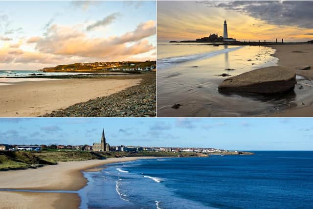 These are the blue flag beaches in North East England and Yorkshire