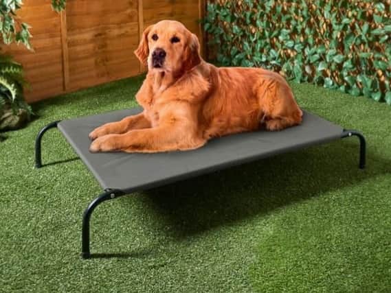 This dog sun lounger is being sold by B&M (Photo: B&M)