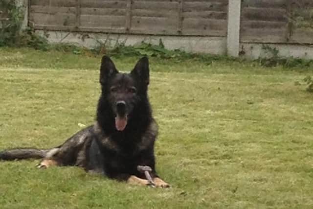 Odin, who sadly passed away earlier in May. PIC: Fireside K9