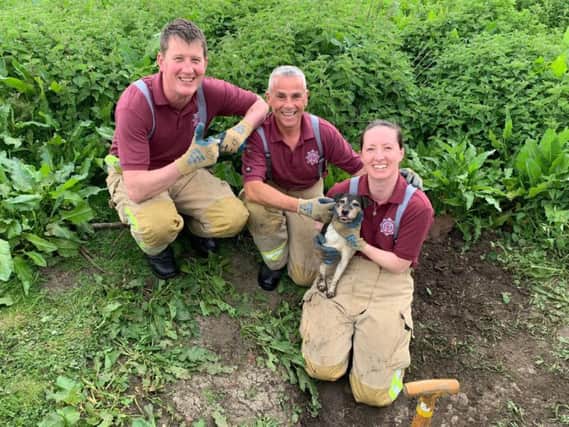 Poppy the Jack Russell is rescued after getting stuck in a drainpipe in Tadcaster
