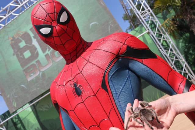 Get up close to Spider-Man and real spiders