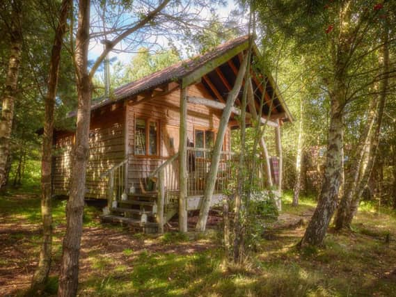 Tree lodge