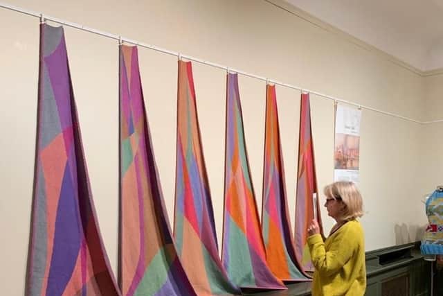 The exhibition is on at the Pannett Gallery in Whitby