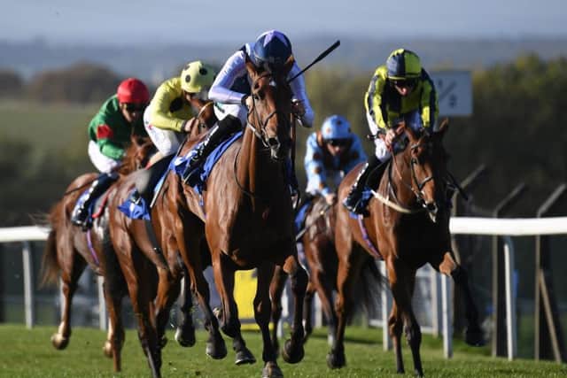 Ralph Beckett has a good record in the Oaks and is represented this year by Manuela De Vega, pictured here winning the ebfstallions.com Silver Tankard Stakes at Pontefract last year.