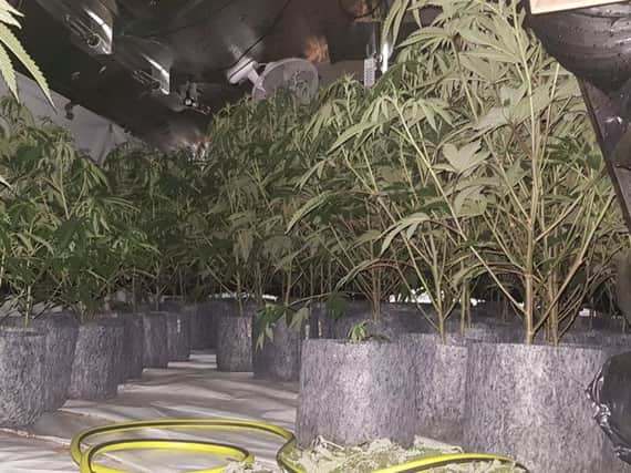 The cannabis farm was found in a house in Ireland Wood (Photo: West Yorkshire Police - Leeds North West).