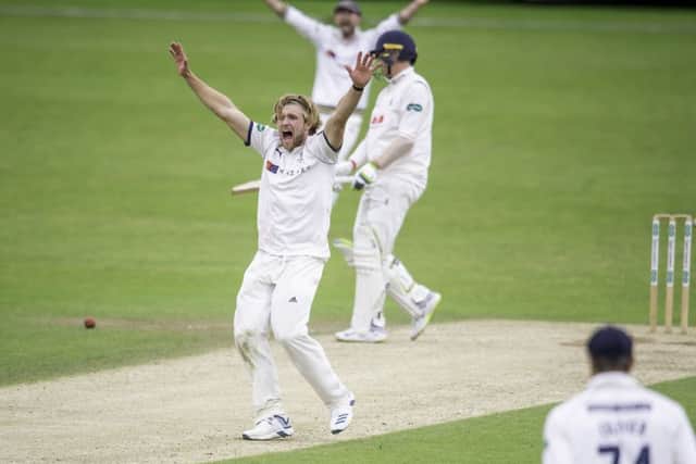 Yorkshire's David Willey appeals.