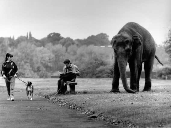 WALKIES: A circus worker with one of the Billy Smart elephants on Woodhouse Moor, Leeds. PIC: Mel Hulme