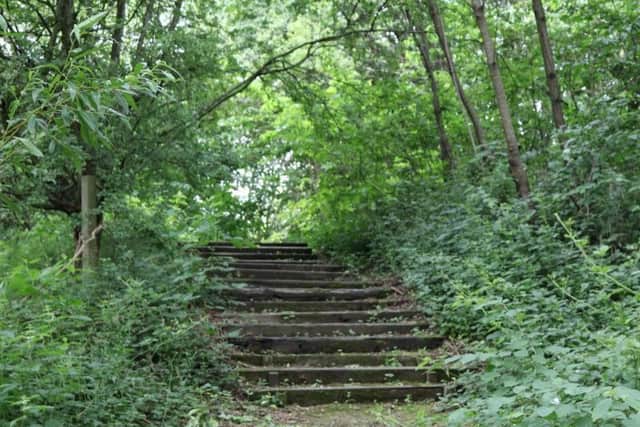 Giant Hogweed has been found near close to these steps near the River Aire in Kirkstall.