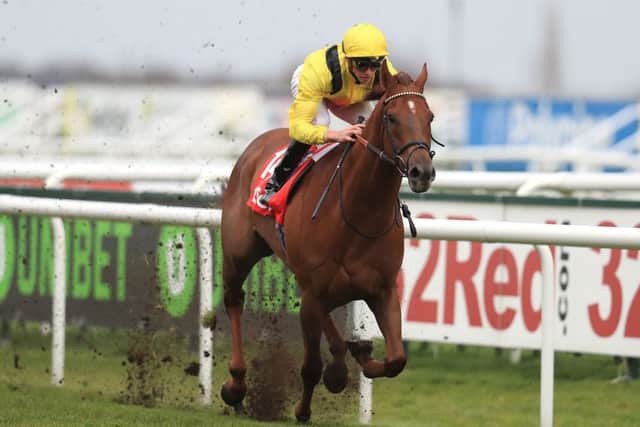 Addeybb, ridden by James Doyle winning last year's 32Red Lincoln. PIC: Mike Egerton/PA Wire