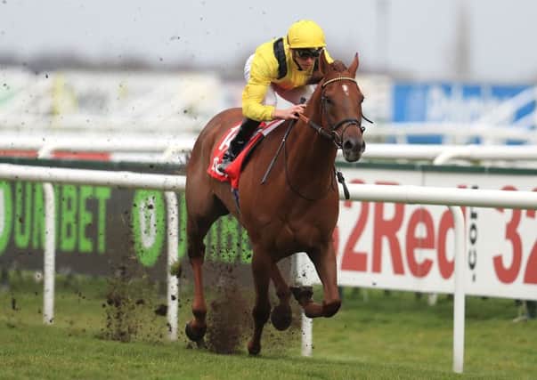 Addeybb, ridden by James Doyle winning last year's 32Red Lincoln. PIC: Mike Egerton/PA Wire