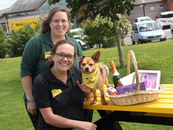 Sarah Hey, standing, organiser of the fun day and team member Alex Hartley, sitting, with rescue dog Cocoa are hoping dog lovers donate prizes for their raffle and tombola.