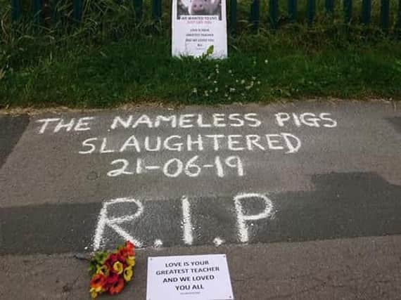 Tributes left to the pigs briefly appeared outside the school gates.