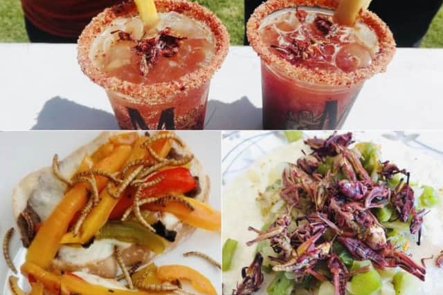Edible insects could be a solution to avoiding a global food crisis if consumers can overcome barriers such as the "ick factor", a new study has found.