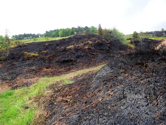 The burnt moorland at Ilkley Moor after the fire.