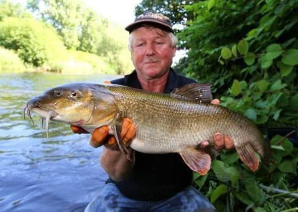Stick float wizard, Martin Highe, with a practice-session barbel caught from the same length of Calder that produced his 30-14 dace haul.