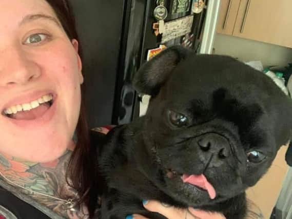 Trevor the pug is reunited with owner Claire Rodgers after being found four miles away from his home