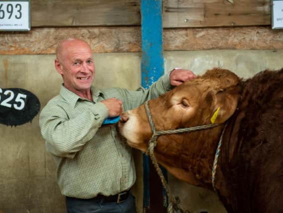 Forgive and forget: The farmer trampled by his own bull has been reunited with the prize-winning animal