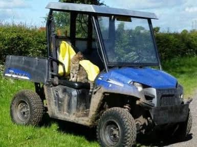 Two Polaris Ranger vehicles were stolen. Photo provided by WYP Wildlife & Rural Crime Unit.
