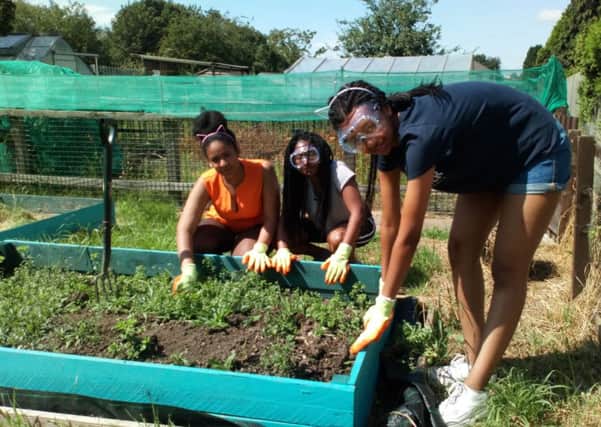 Volunteers tending one of the plots at Killingbeck Allotment Association. Picture: Jess Duggal