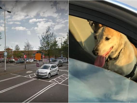 The dog was left in a car in Colton Retail Park during the hottest week of the year (Photo: West Yorkshire Police).